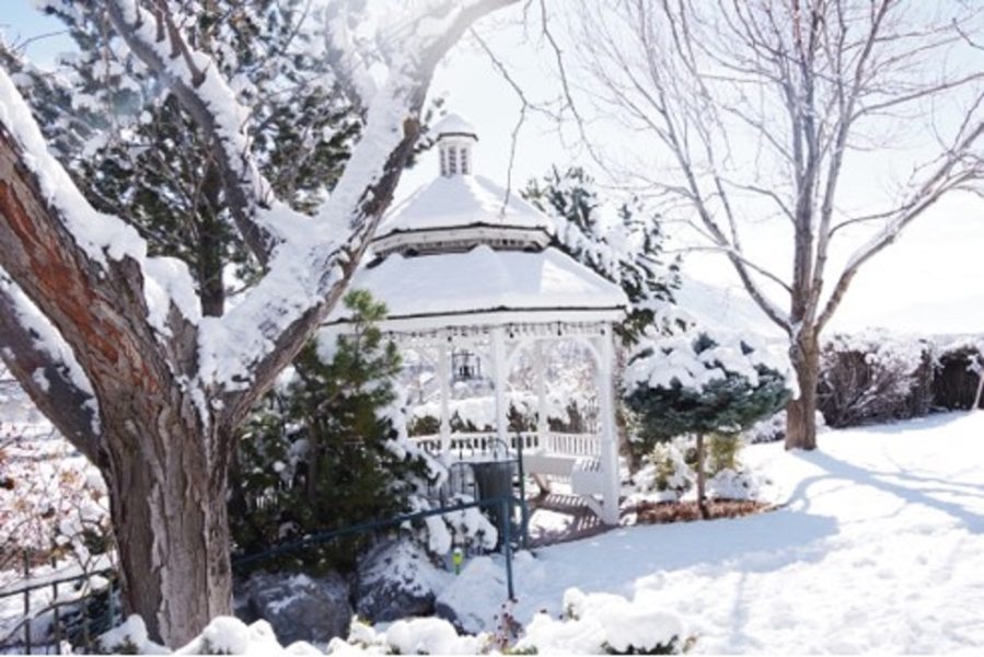 Gazebo in winter